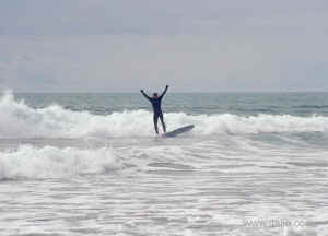 surf.jpg (100789 bytes)