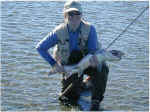 fishing4.jpg (46657 bytes)